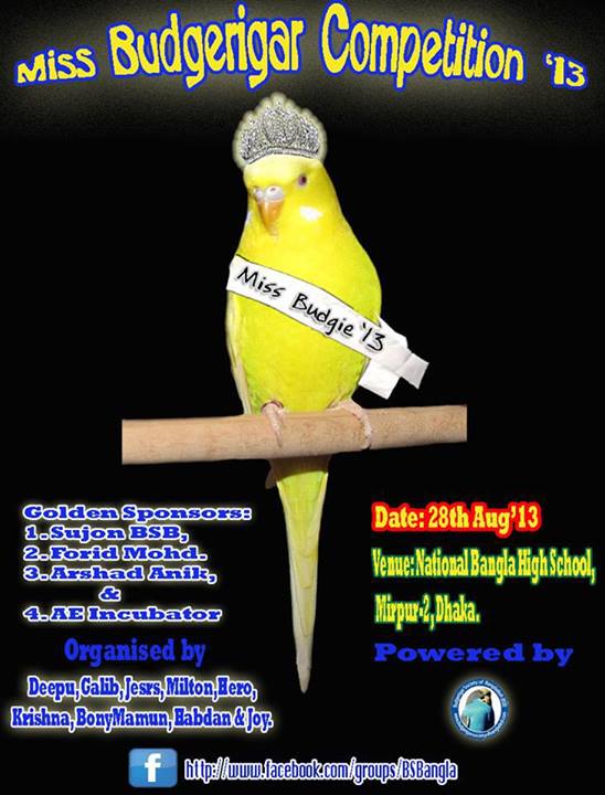 মিস বাজরীগার প্রতিযোগিতা ২০১৩