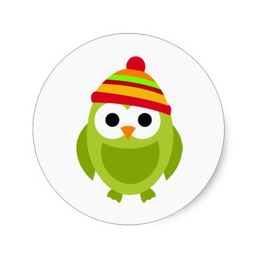 শীতকালে পোষা পাখির যত্ন