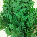 সজনে পাতা