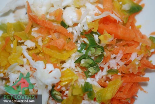 পাখির জন্য টাটকা সবজি