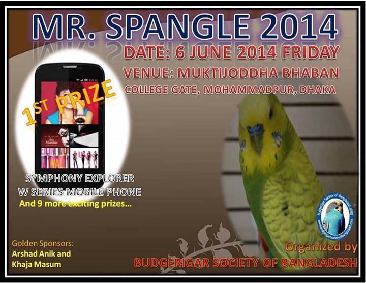 মিস্টার স্প্যাঙ্গেল ২০১৪